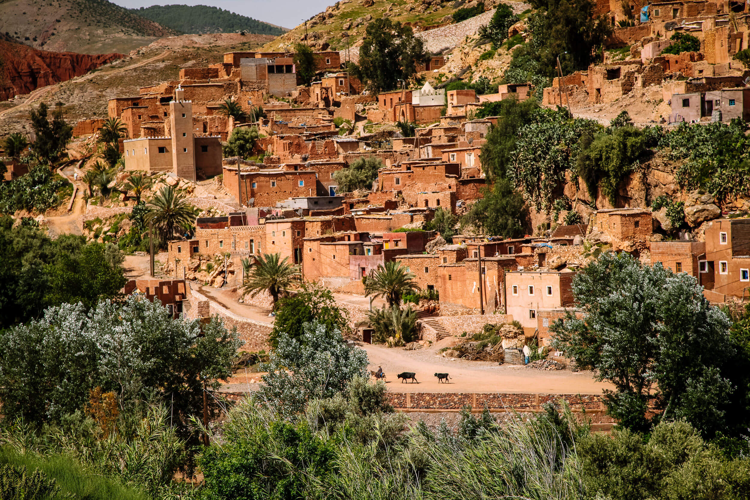 Moroccan village road to Atlas Mountains