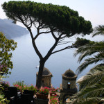 Ravello Il Rufolo tree view