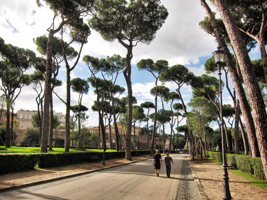 Villa Borghese pine trees