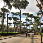 Villa Borghese pine trees