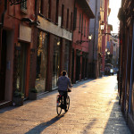 Bologna bike rider sunset