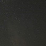 Il Pellicano stars