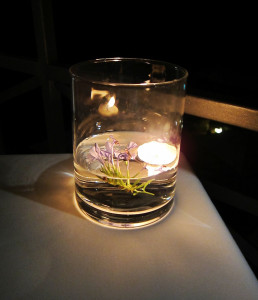 Il Pellicano dining candle