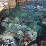 Il Pellicano dock water