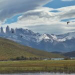 Torres del Paine Towers and birds