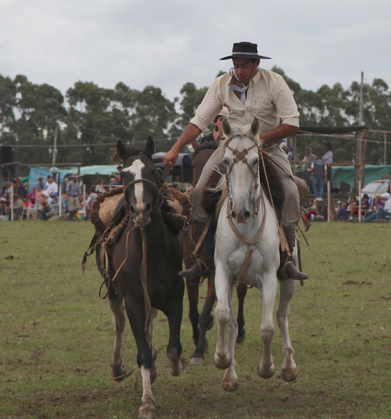 Garzon Carnival gauchos horses