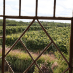 Narbona Wine Lodge window view