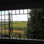 Narbona Wine Lodge window