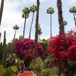 Jardin Majorelle palms