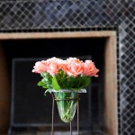 Marrakesh roses