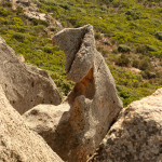 Roccapina rock formation