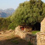 Domaine de Murtoli A Tiria backyard