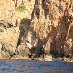 Scandola Nature Reserve tourist boat