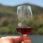 Douro Exclusive wine glass