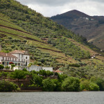 Douro Valley port vineyards from river