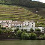 Douro Exclusive boat tour views
