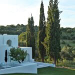 Casa Arte trees sunset