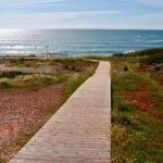 Praia do Amado walkway