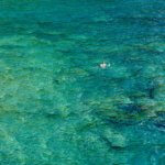 Baix Emporda swimmer