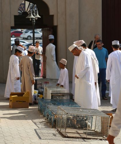 Nizwa souk bird market