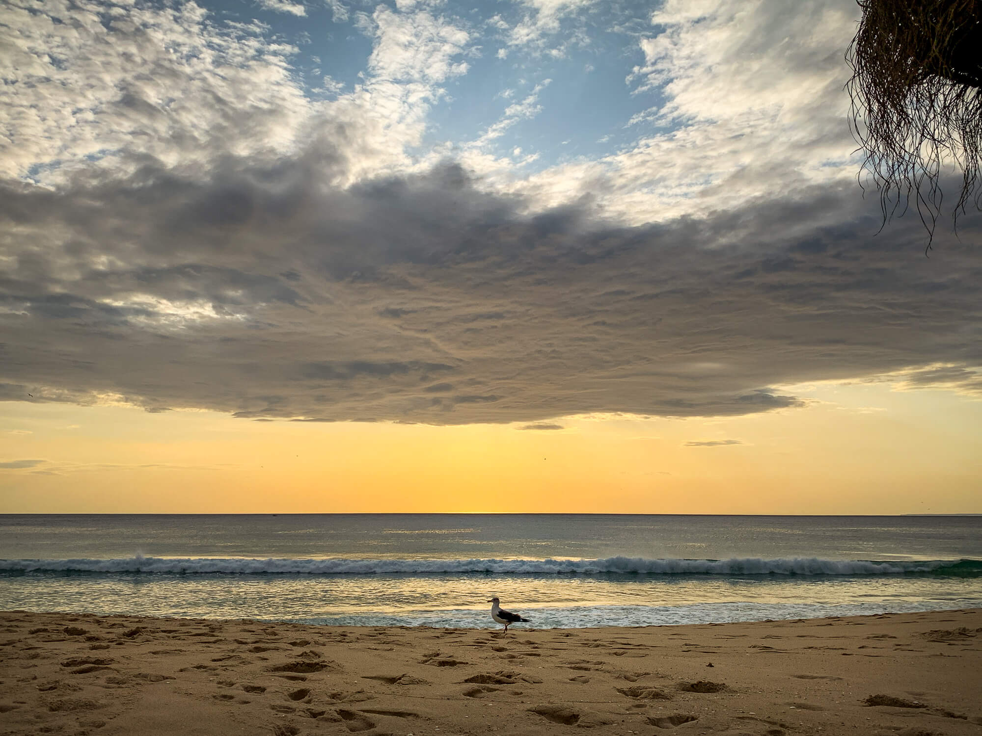 Comporta Beach clouds at sunset
