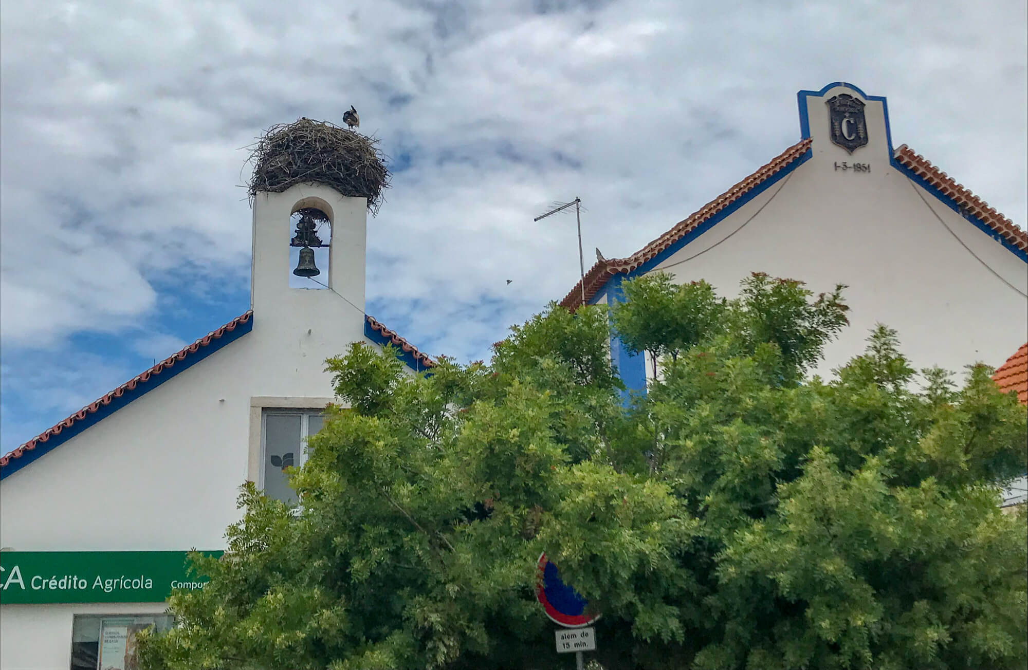 Stork nests in Comporta Portugal