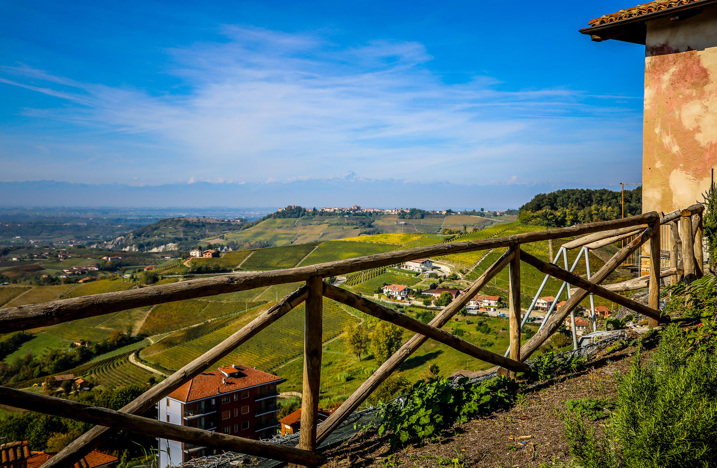 Vineyard view from Monforte d'Alba
