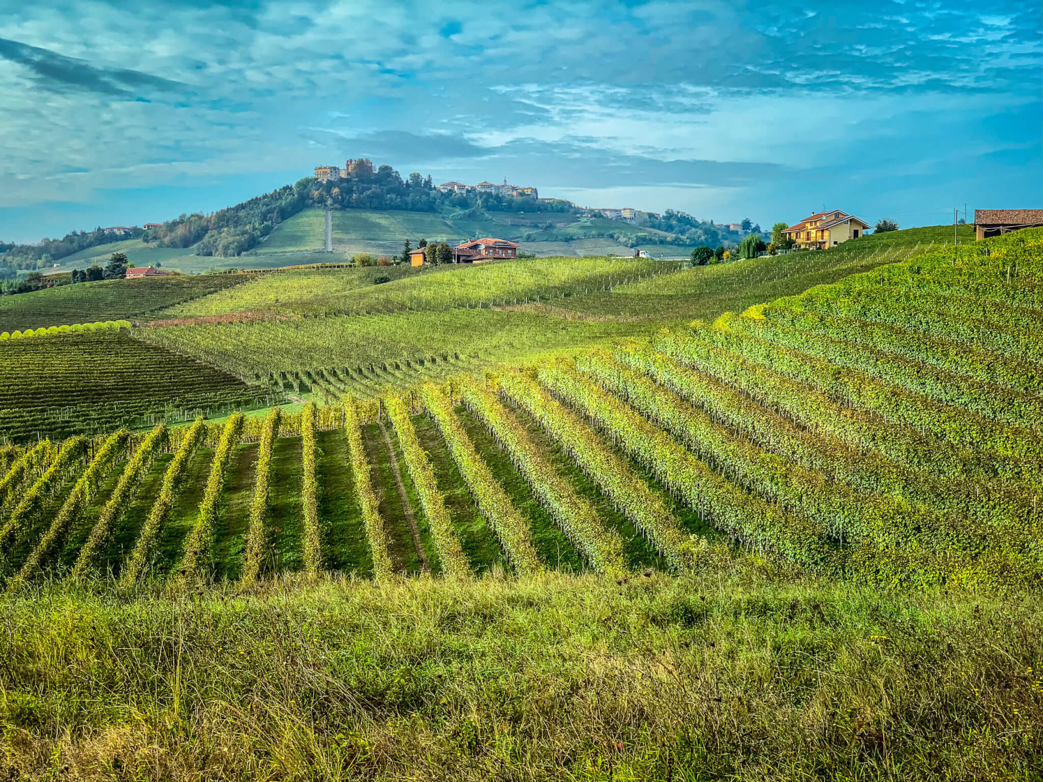 Simone Scaletta vineyards