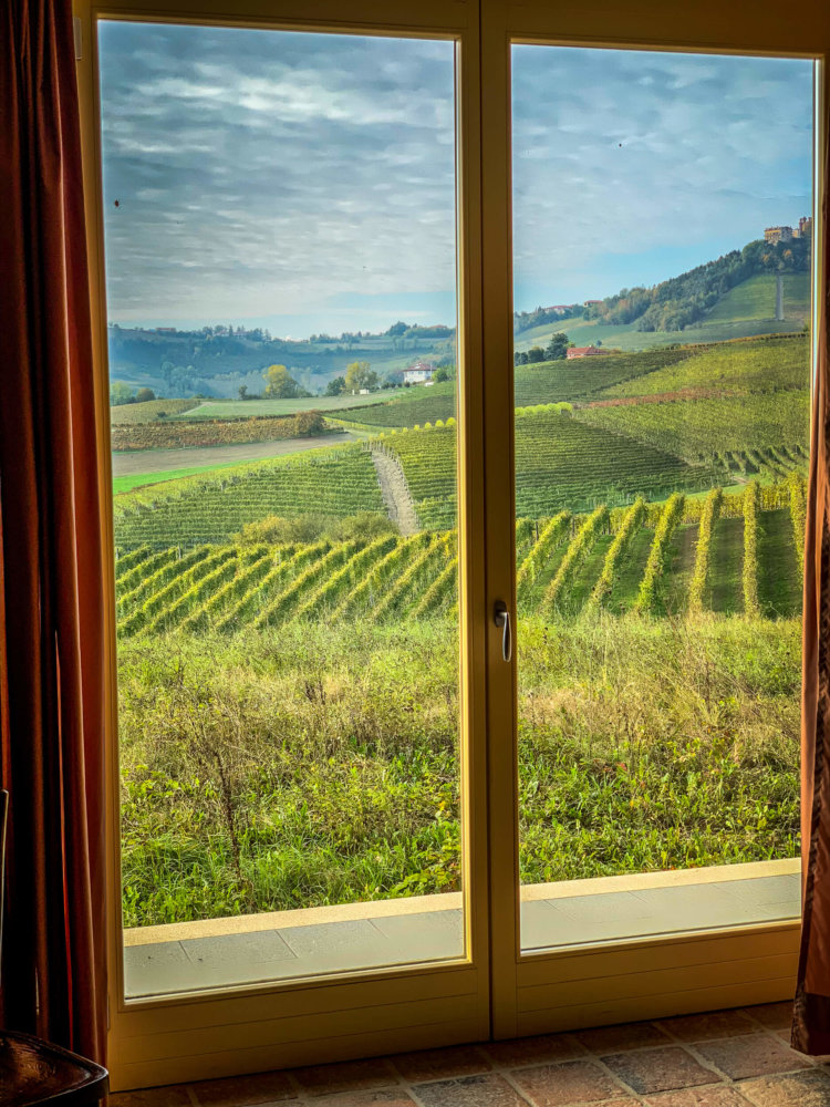 Simone Scaletta vines through window