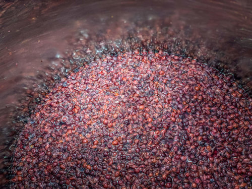 Attimo Wine fermenting