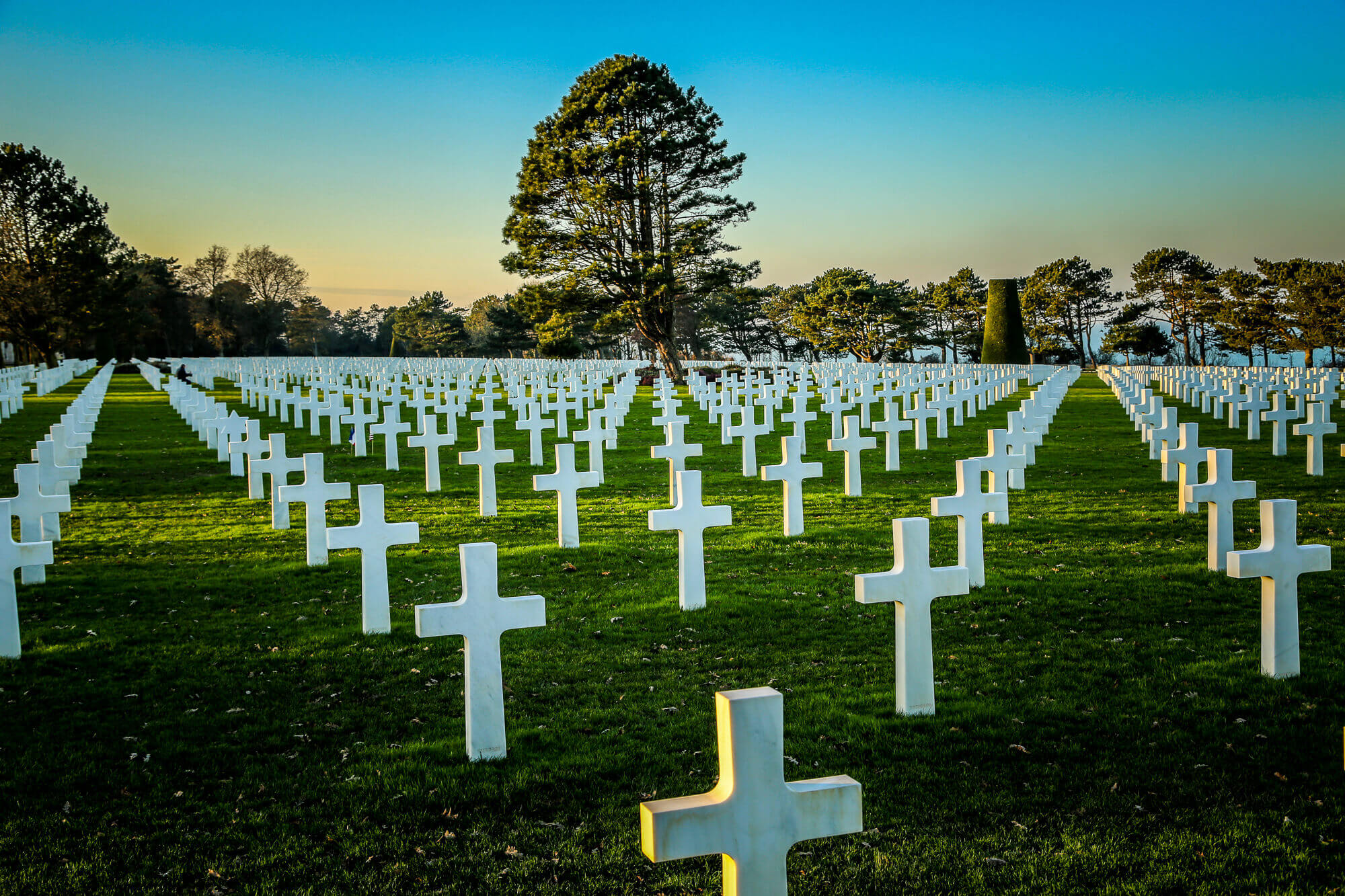 Normandy American Cemetery lone tree