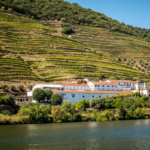view from Douro Exclusive boat tour