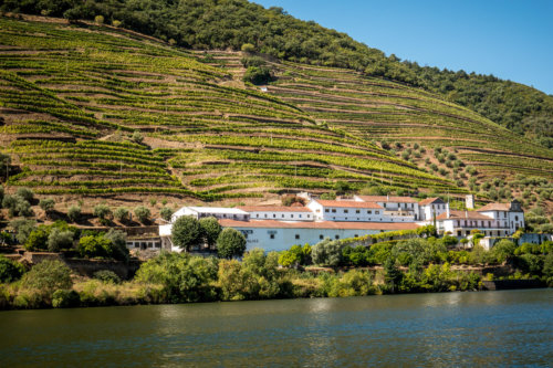 view from Douro Exclusive boat tour