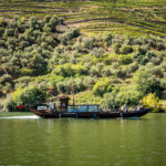 Douro Exclusive Boat ride