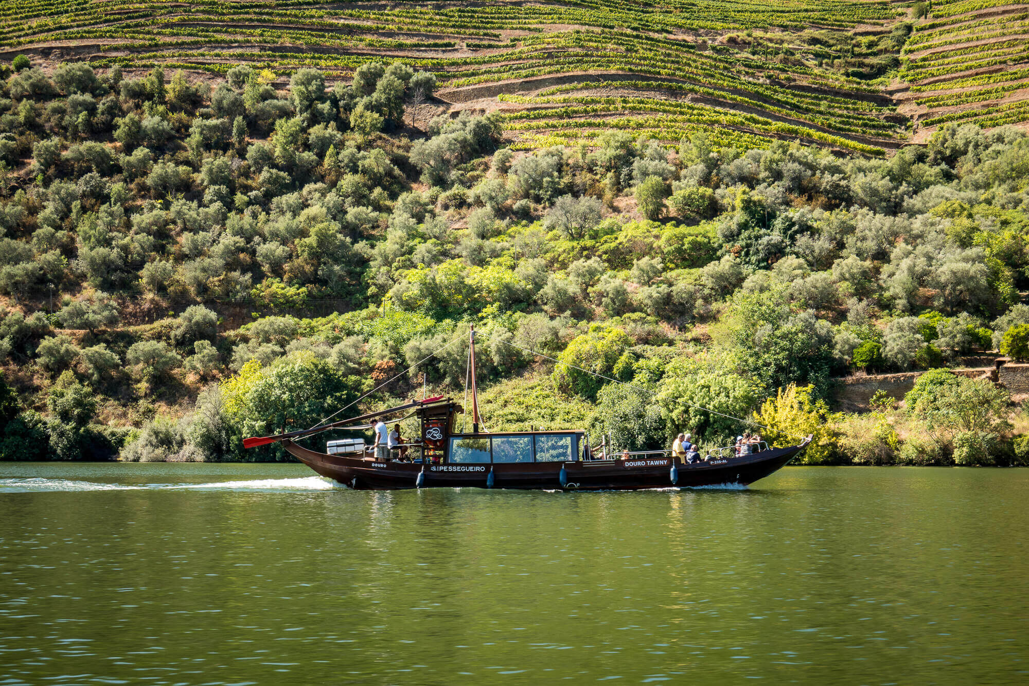 Douro Exclusive Boat ride