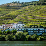 Douro Exclusive river boat tour