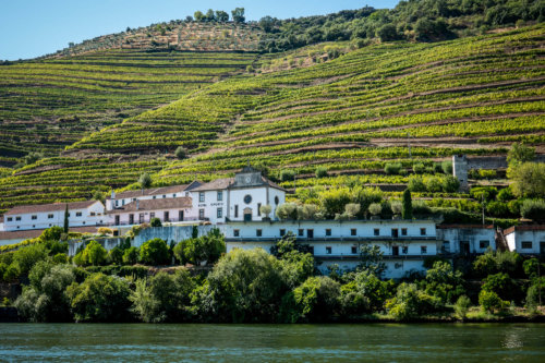 Douro Exclusive river boat tour