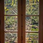 Quinta do Panascal vineyard view