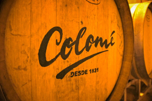 Estancia Colomé wine barrel