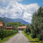 Estancia Colomé walking to winery
