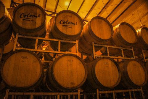 Estancia Colomé barrels in winery
