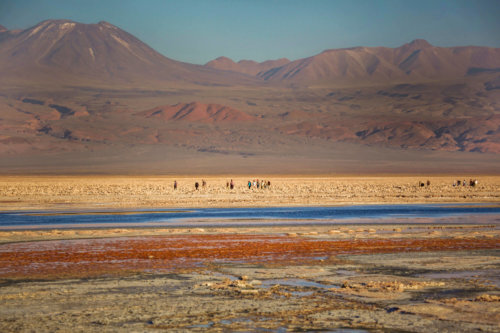 Walking in Salar de Atacama